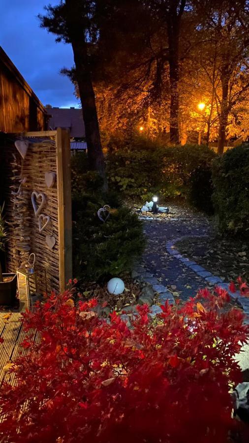 Das Ferienhaus Am Tiergarten ヴェルニゲローデ エクステリア 写真