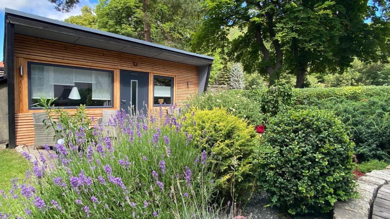 Das Ferienhaus Am Tiergarten ヴェルニゲローデ エクステリア 写真